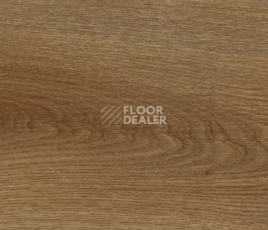 Кварцвиниловые полы FineFloor FF-1200 Strong 1255 Дуб Октопус фото 1 | FLOORDEALER